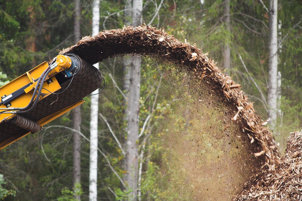 Chile announces SAF roadmap, targets production facility by 2030 | SAF ...